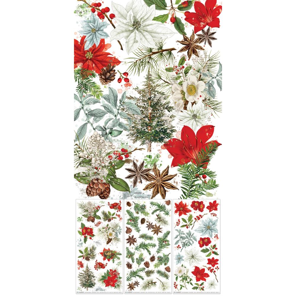 49 And Market - Evergreen Season - Rub-On Transfer Set - Botanical