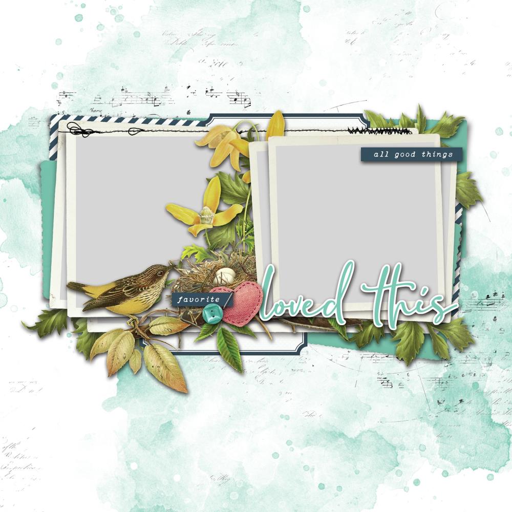 49 And Market - Birdsong - Page Kit