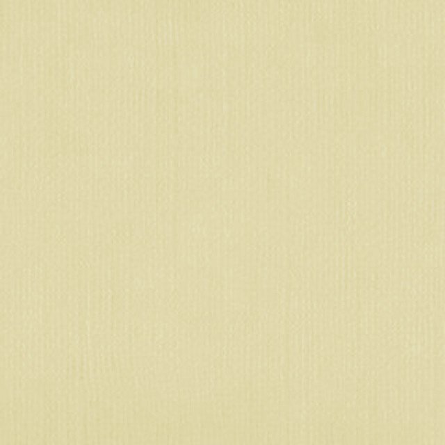 DWD - 12 x 12 Cardstock - Linen