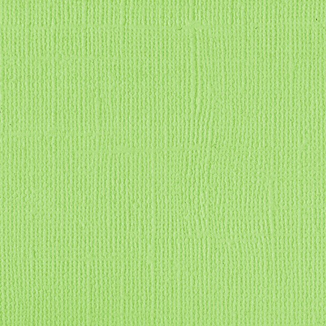 DWD - 12 x 12 Cardstock - Linen