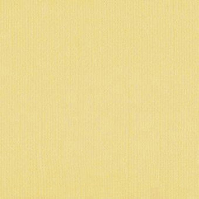 DWD - 12 x 12 Cardstock - Linen