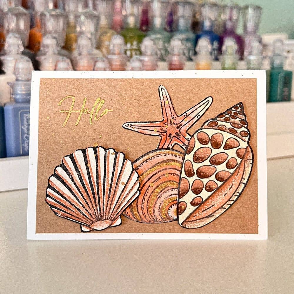 Honey Bee Stamps - Seashells - 6x8 Stamp Set
