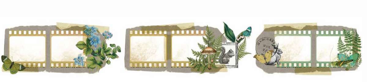 Arden Creative Studio - Hidden Creek - Filmstrip Kiss-Cut PET Tape