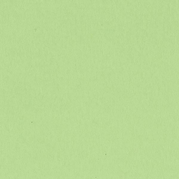 Bazzill - 12x12 Cardstock - Smoothies