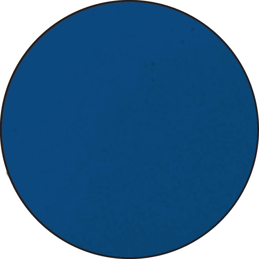 Ranger - Embossing Powder - Blue