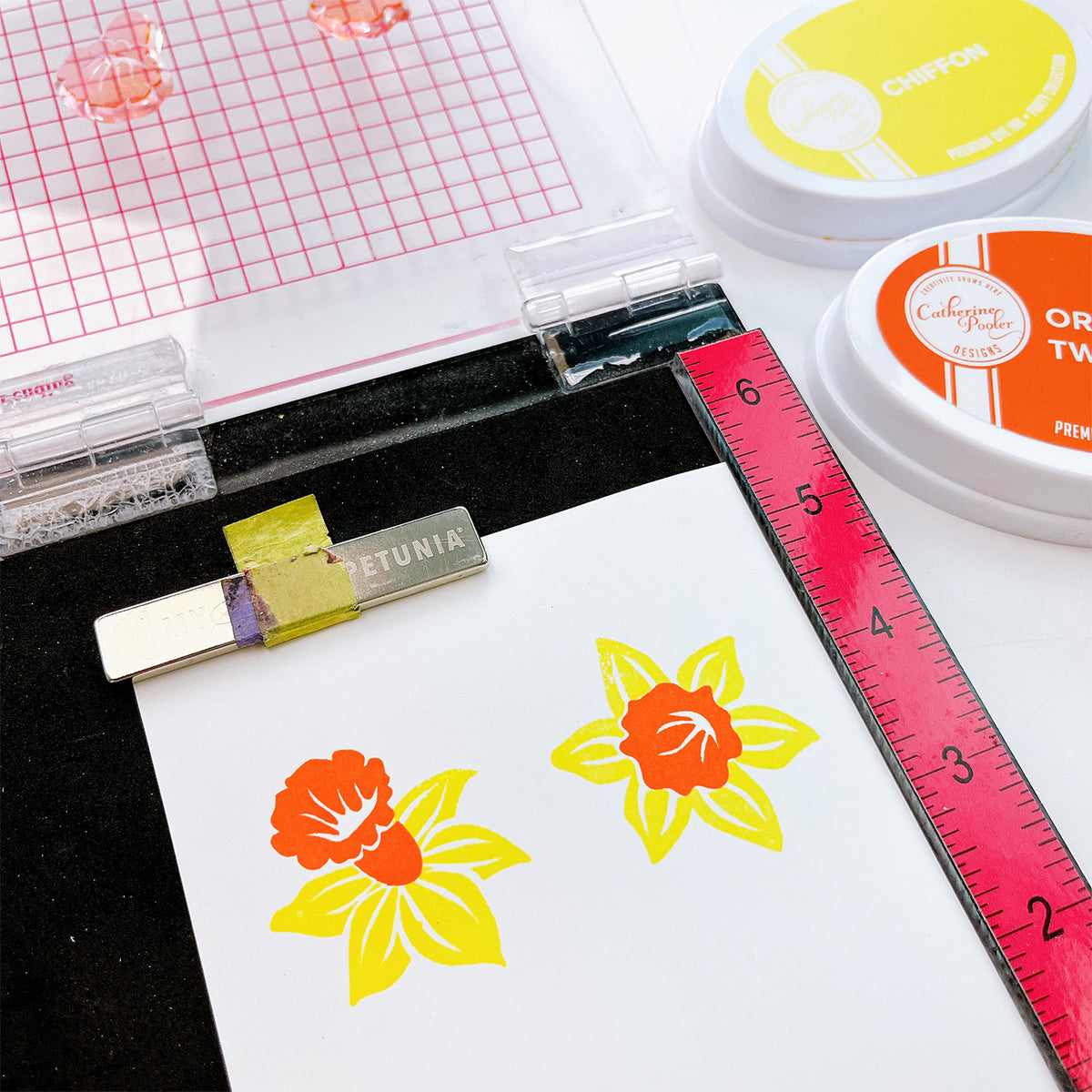 Catherine Pooler - Daffodil Blooms Bundle