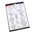 ***Pre-Order*** Catherine Pooler - Excerpts Sentiments - Stamp Set