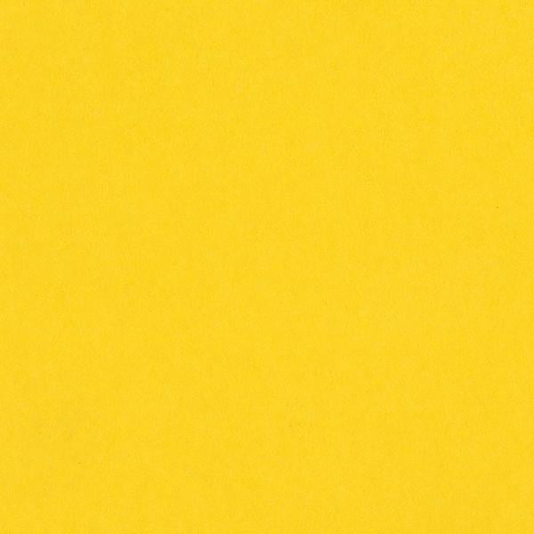 Bazzill - 12x12 Cardstock - Smoothies