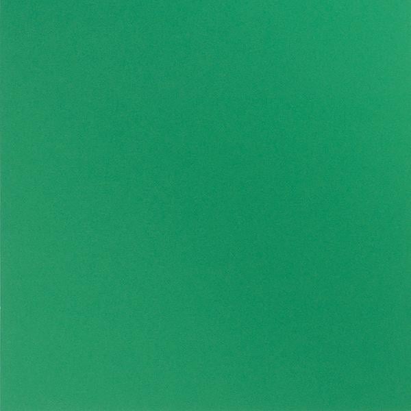 Bazzill - 12x12 Cardstock - Smoothies