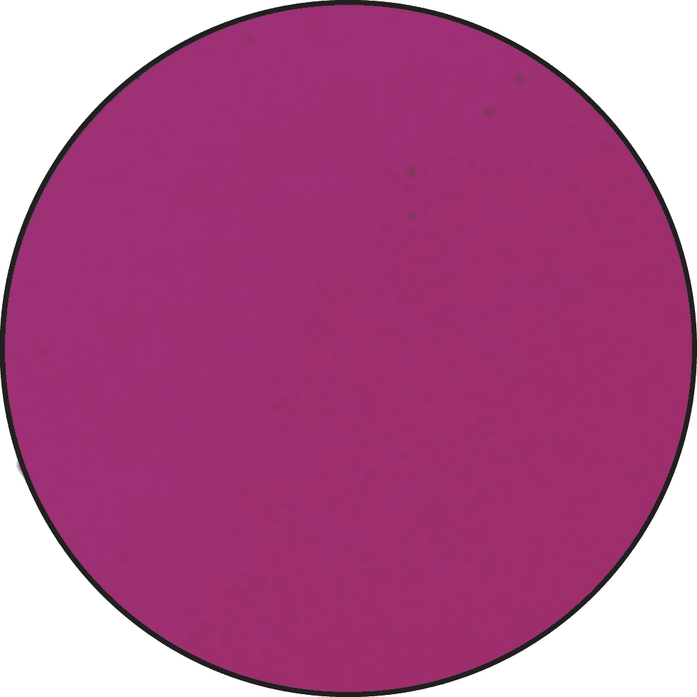 Ranger - Embossing Powder - Magenta