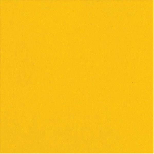 Bazzill - 12x12 Cardstock - Smoothies