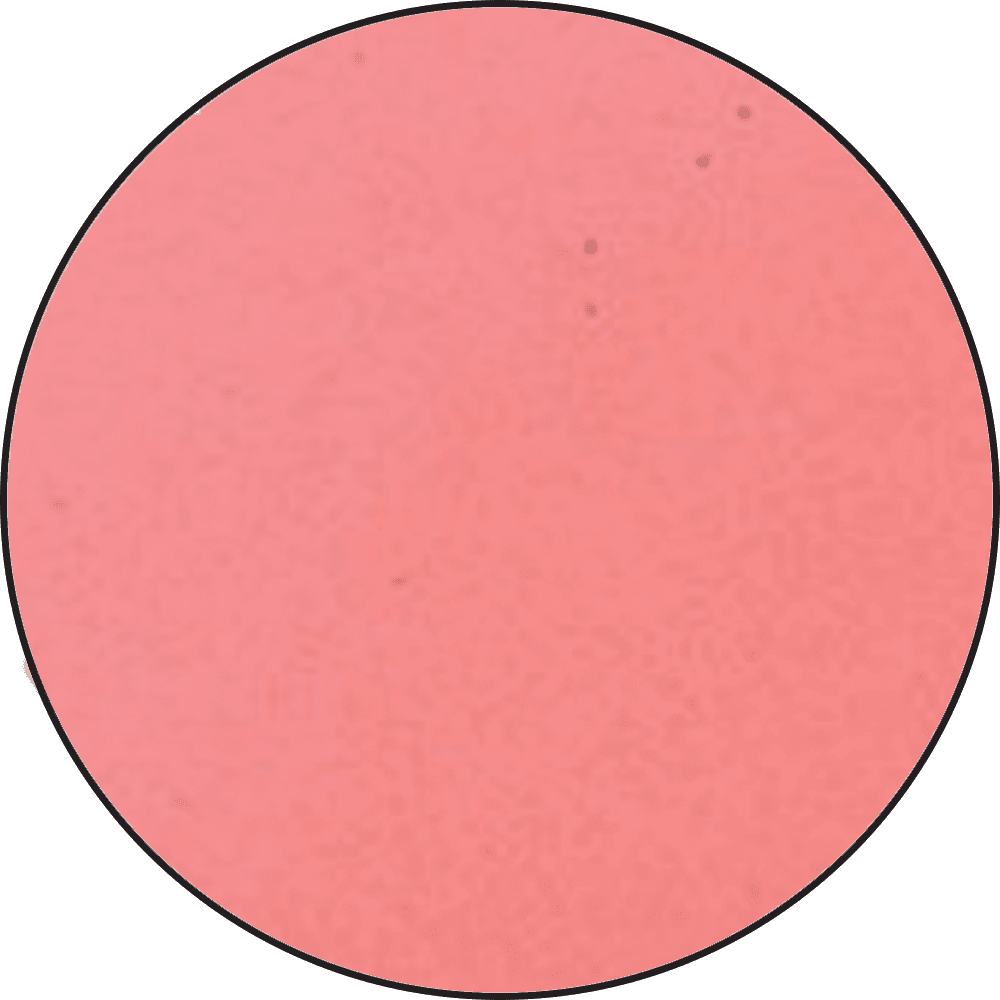 Ranger - Embossing Powder - Pink