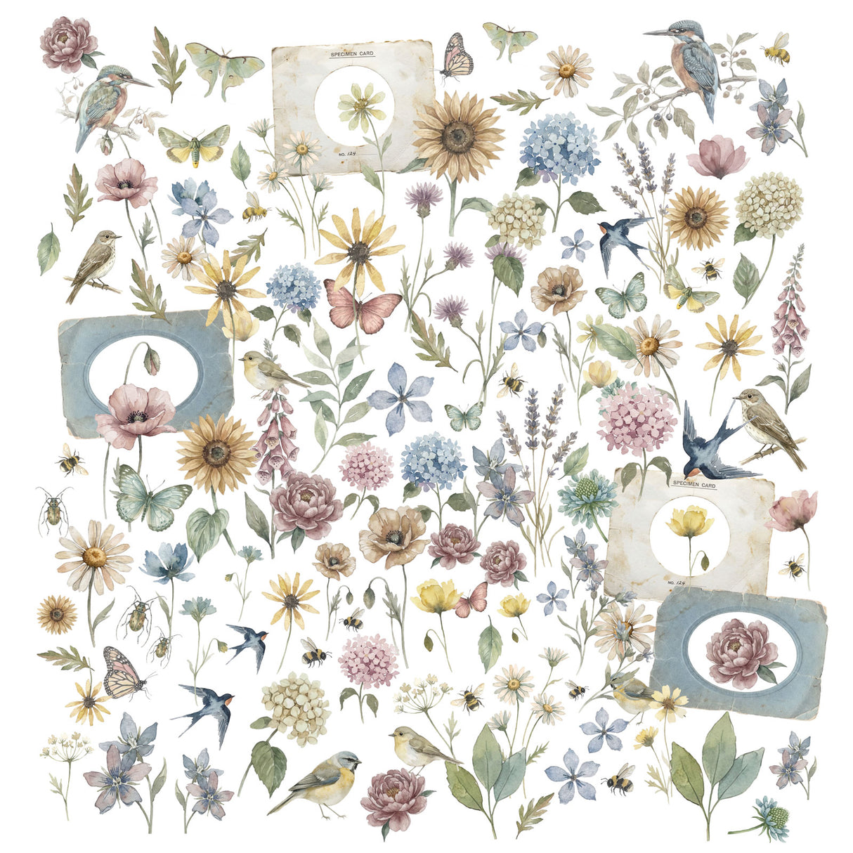 ***Pre-Order*** 49 And Market - The Quiet Observer - Laser Cut - Wildflowers
