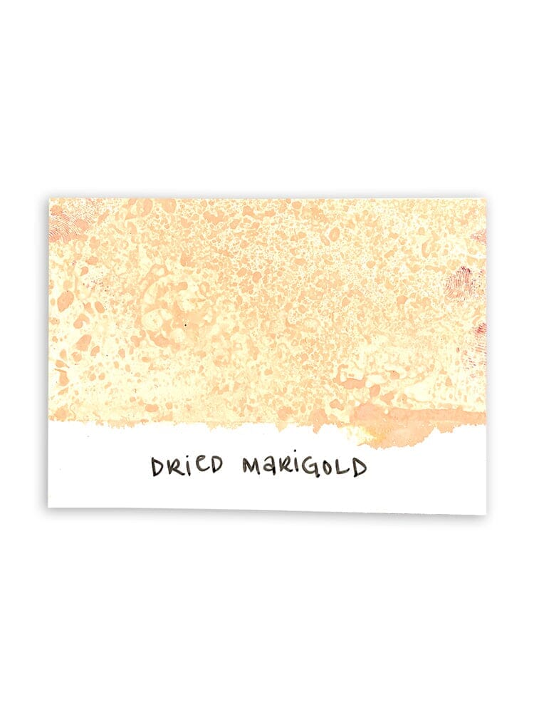 Tim Holtz - Distress Spray Stain - Dried Marigold
