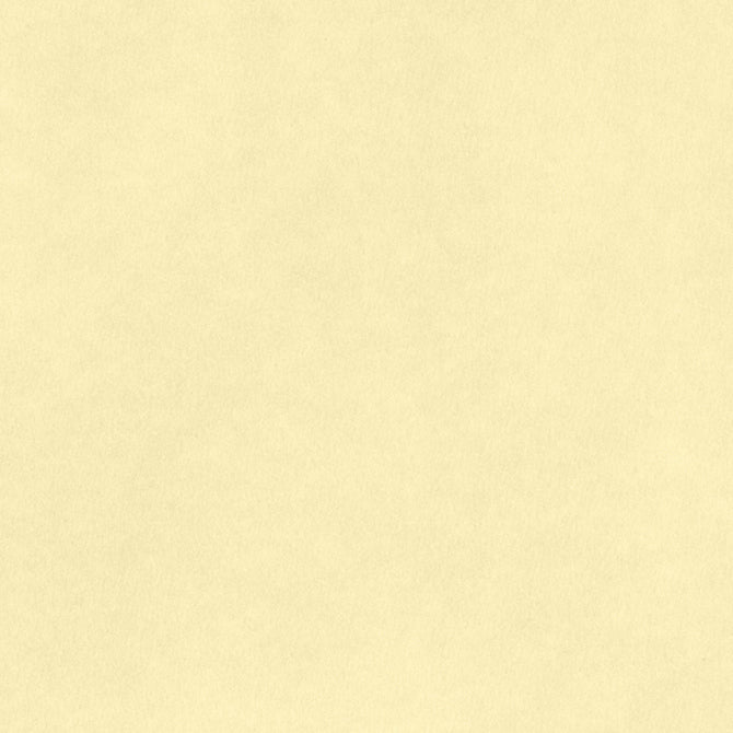 CARDSTOCK 8.5X11 AC SMOOTH VANILLA