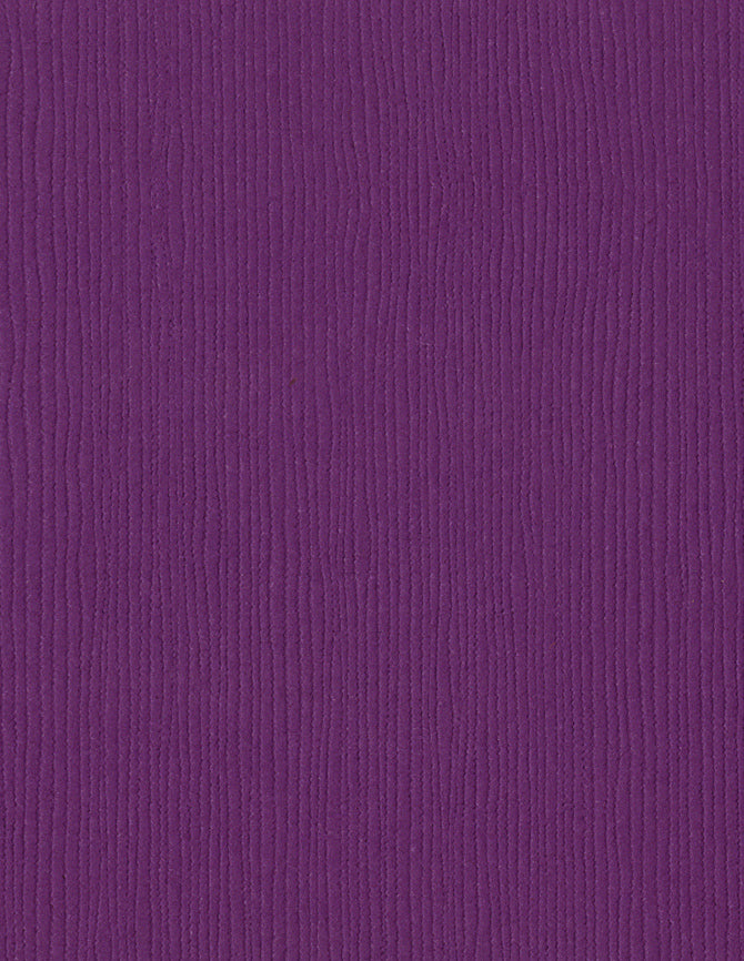 Bazzil Basics Cardstock FOURZ 8.5x11 Nelly