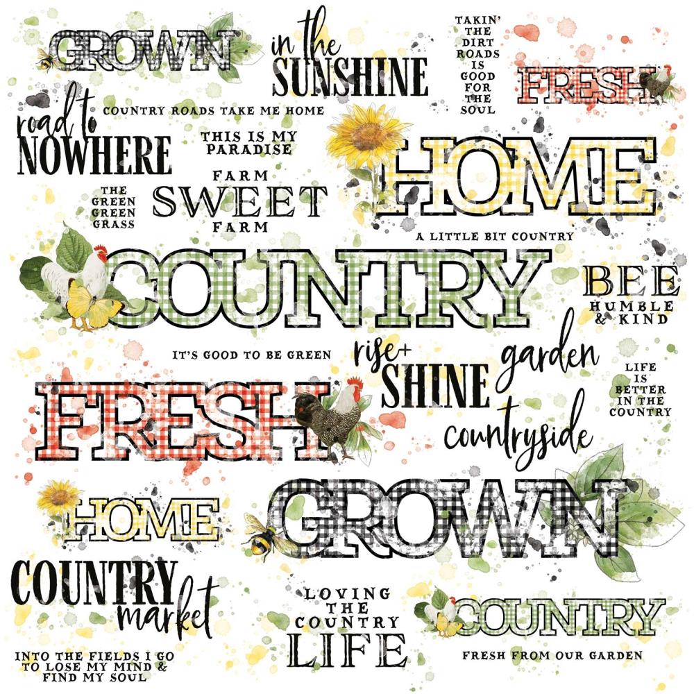 49 And Market - Vintage Artistry Countryside - Rub-Ons 12"X12" - Sentiments