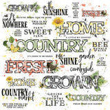 49 And Market - Vintage Artistry Countryside - Rub-Ons 12"X12" - Sentiments