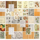 49 And Market - Color Swatch: Peach - Collage Sheets 6"x8" 40/Pkg