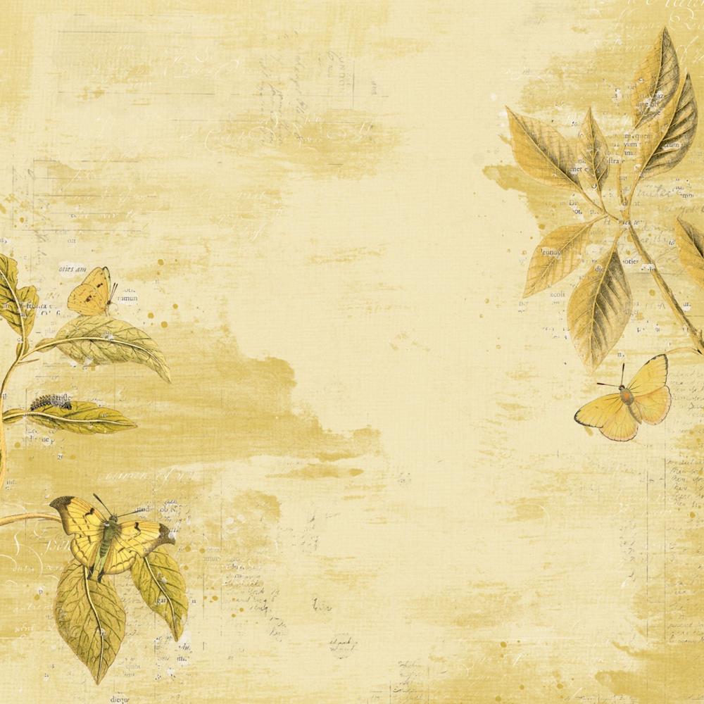49 And Market - Color Swatch: Ochre - Collection Pack 12"X12"