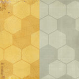 49 And Market - Academia - Collection Pack 12"X12"