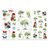 49 And Market - Summer Porch - Rub-on Transfer Set - Botanical