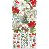 49 And Market - Evergreen Season - Rub-On Transfer Set - Botanical