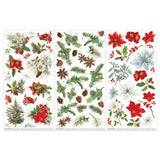 49 And Market - Evergreen Season - Rub-On Transfer Set - Botanical