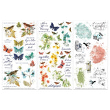 49 And Market - Birdsong - Rub-On Transfer Set - Blendable