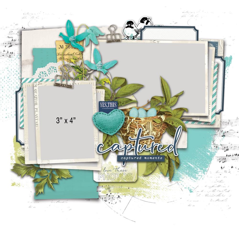 49 And Market - Birdsong - Page Kit