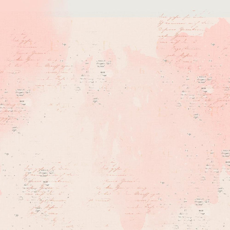 49 And Market - Birdsong - Collection Pack Soilds