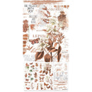 49 And Market - Color Swatch: Terracotta - Rub-On Transfer Set