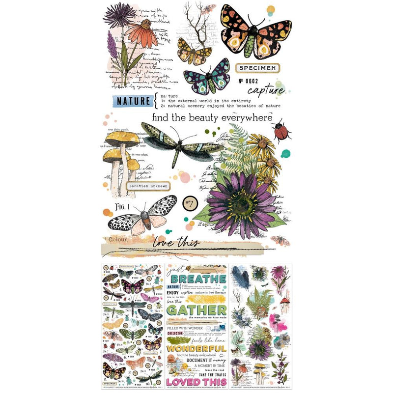 ***Pre-Order*** 49 And Market - Vicki Boutin - Curiosities In Willow Grove - Rub-On Transfer Set - Essential