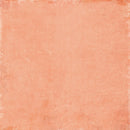 49 And Market - Vicki Boutin - Curiosities In Willow Grove - Staples Pack 12"X12"