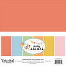 ***Pre-Order*** Echo Park - Party Animal - Solids Collection Kit