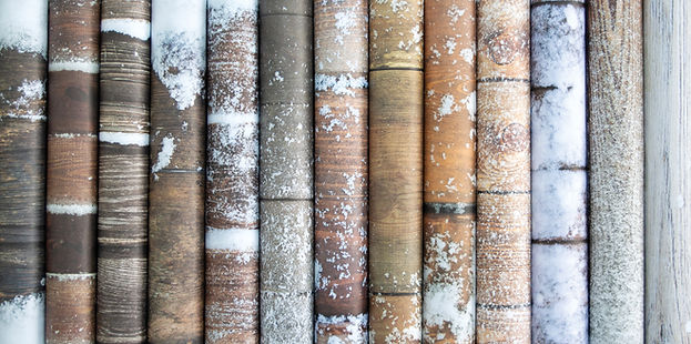 Craft Consortium - The Essential Craft Papers - 6 x 6 Paper Pad - Frosted Wood