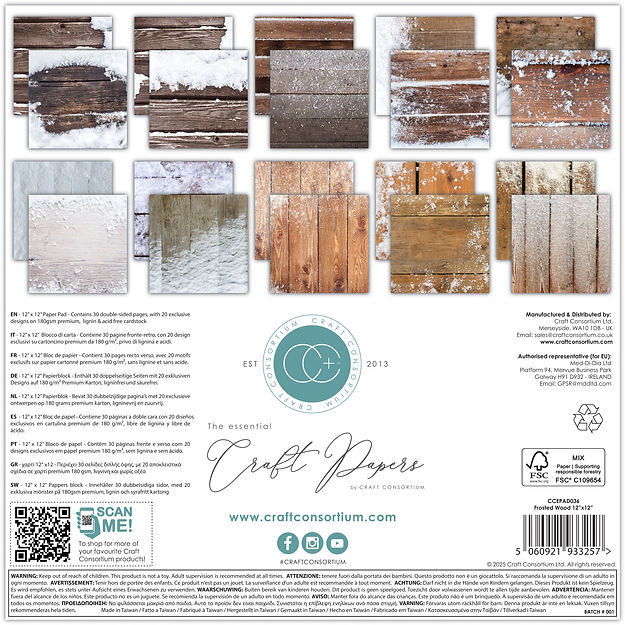 Craft Consortium - The Essential Craft Papers - 12 x 12 Paper Pad - Frosted Wood