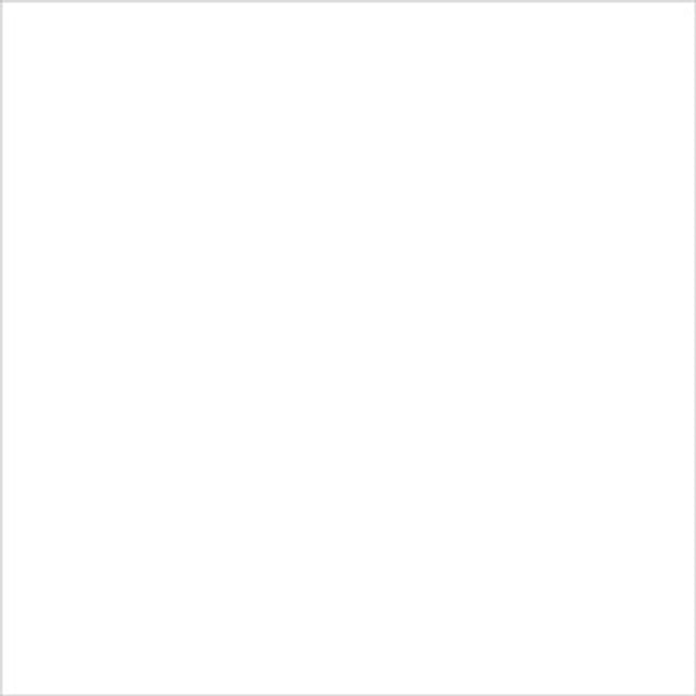 DWD - 12 x 12 Cardstock - Smooth - White