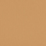 DWD - 12 x 12 Cardstock - Linen