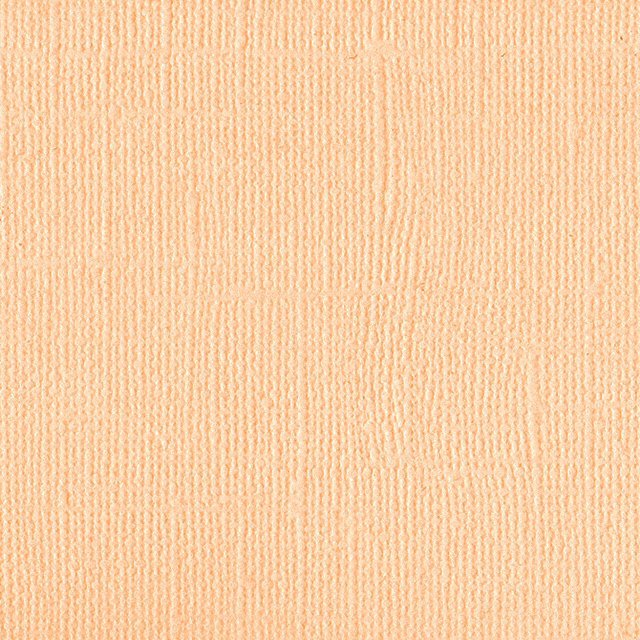 DWD - 12 x 12 Cardstock - Linen