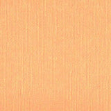 DWD - 12 x 12 Cardstock - Linen