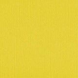 DWD - 12 x 12 Cardstock - Linen