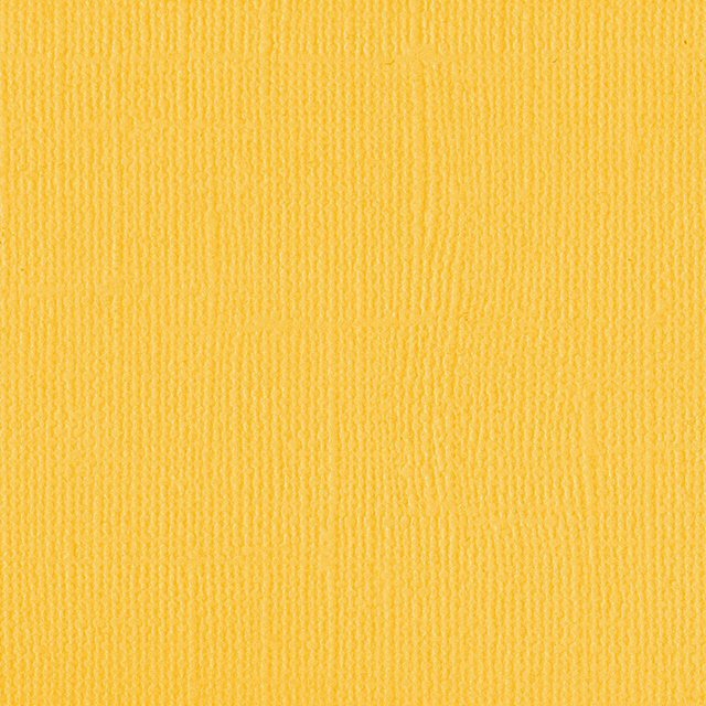 DWD - 12 x 12 Cardstock - Linen
