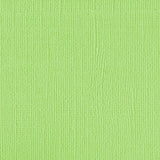 DWD - 12 x 12 Cardstock - Linen