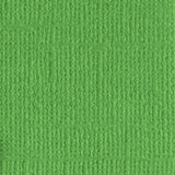 DWD - 12 x 12 Cardstock - Linen