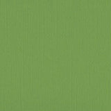 DWD - 12 x 12 Cardstock - Linen