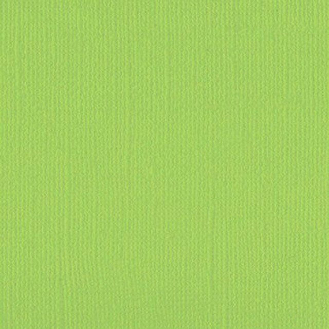 DWD - 12 x 12 Cardstock - Linen