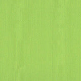 DWD - 12 x 12 Cardstock - Linen