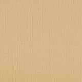 DWD - 12 x 12 Cardstock - Linen