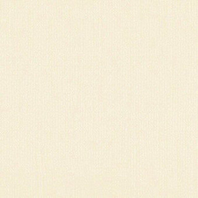 DWD - 12 x 12 Cardstock - Linen